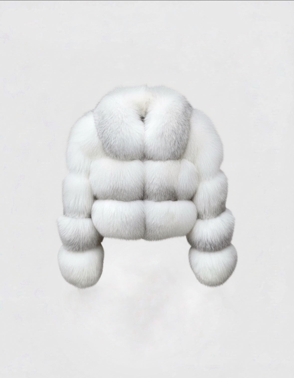 Fourrure Renard Blanche Silver