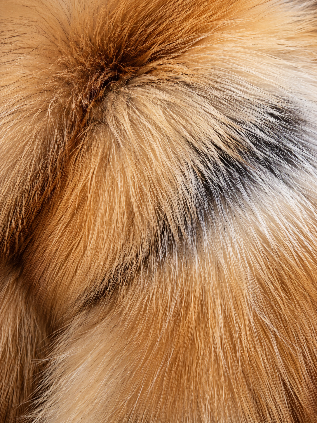 Veste courte fourrure Red Fox – Maison Maloë