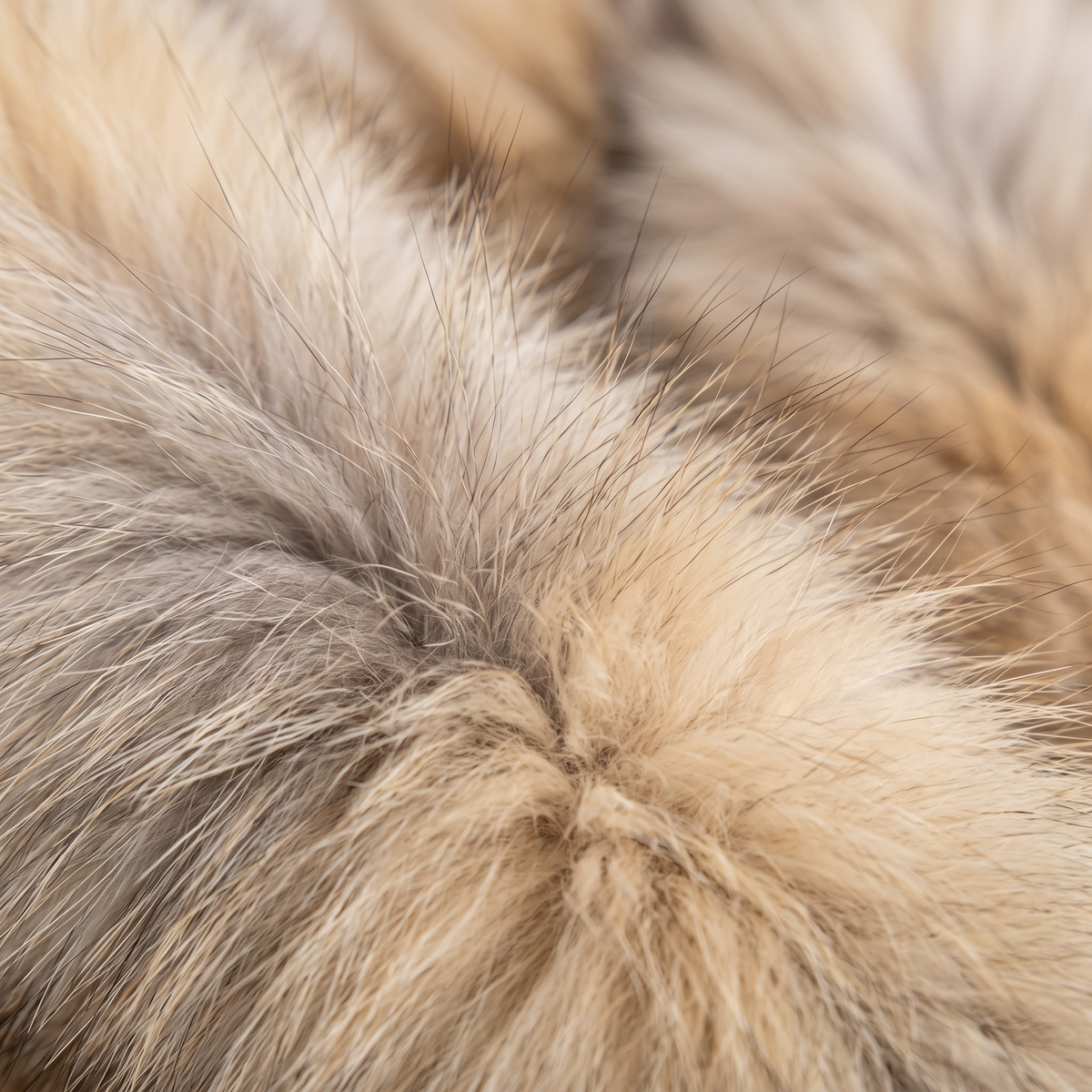 Manteau long en fourrure Renard Golden Island
